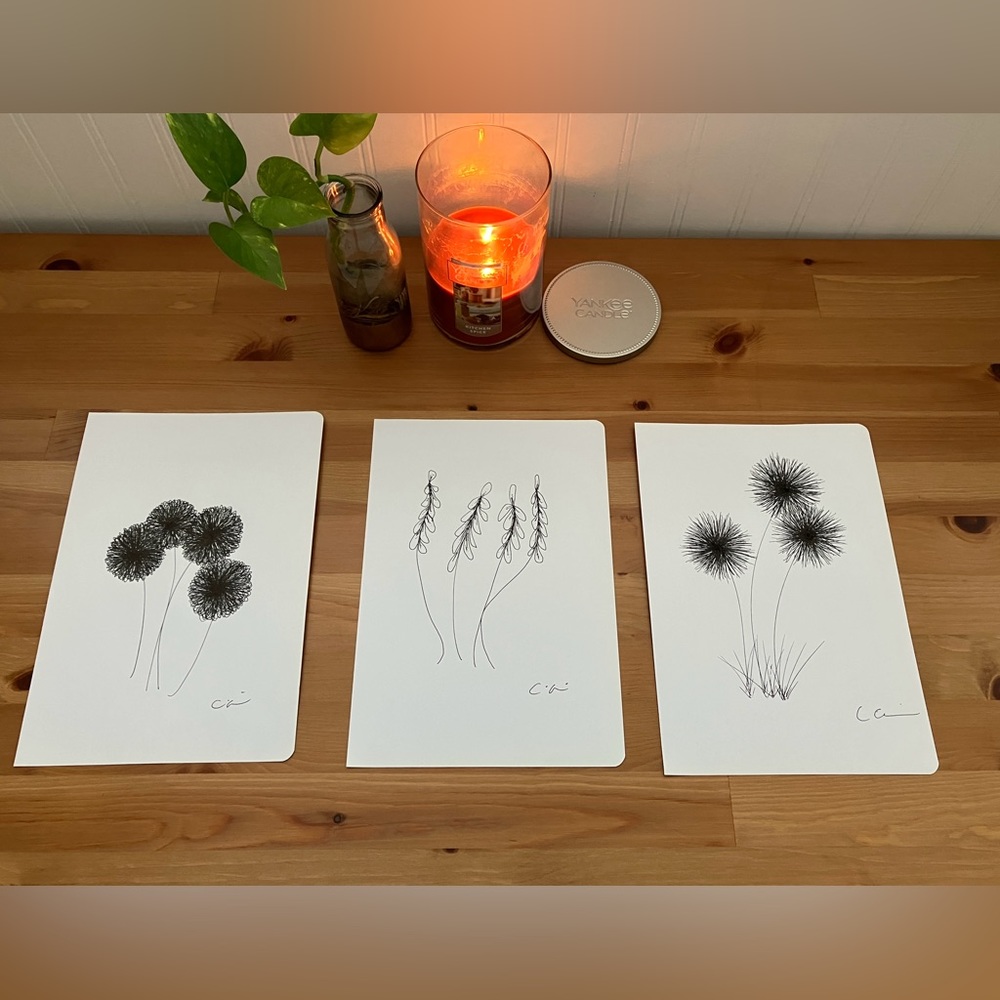 New Original Signed Artwork Ink on Paper Set of 3 Botanical Drawings